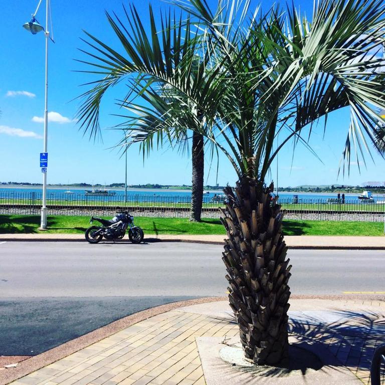 Harbourside City Backpackers Tauranga Exterior foto